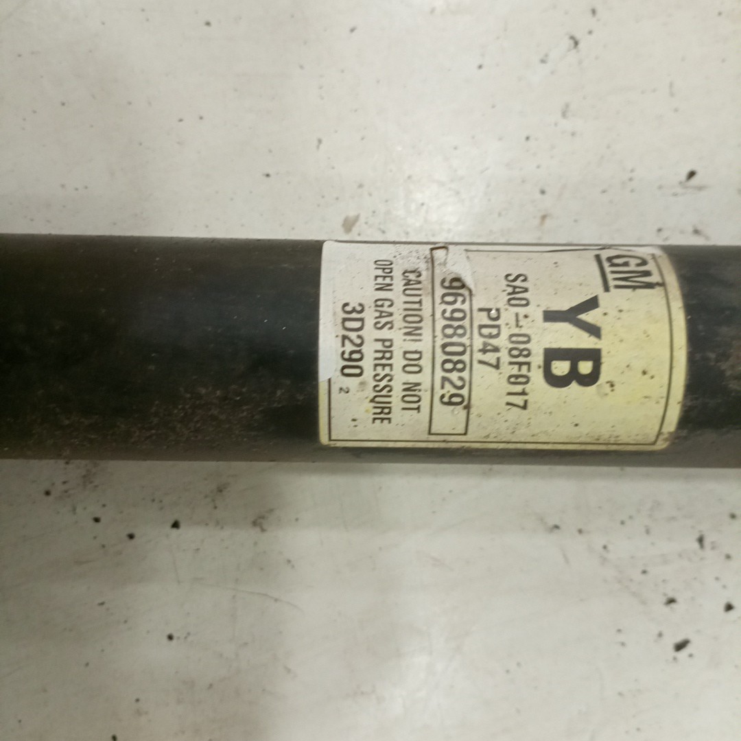 Amortecedor Traseiro CHEVROLET AVEO / KALOS Hatchback (T250, T255) | 06 -  Imagem-2