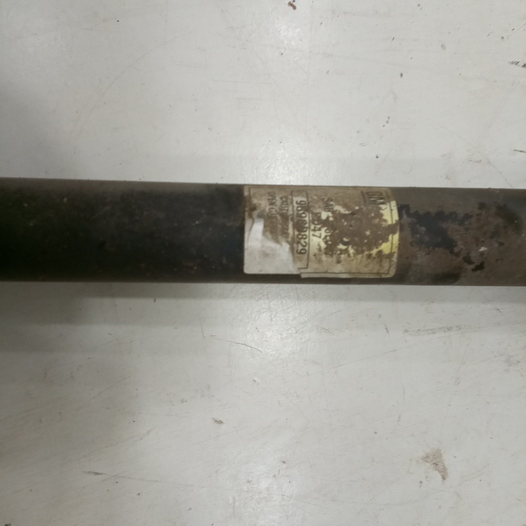 Amortecedor Traseiro CHEVROLET AVEO / KALOS Hatchback (T250, T255) | 06 -  Imagem-2