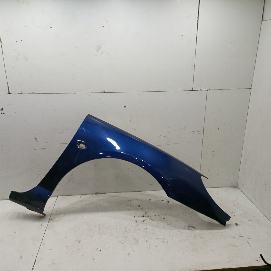 Guarda Lamas Direito PEUGEOT 407 Coupé (6C_) | 05 - 