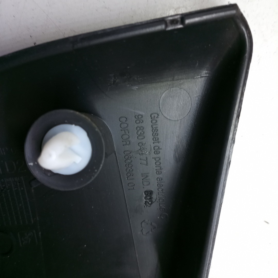 Acabamento de porta CITROEN BERLINGO (B9) | 08 - 