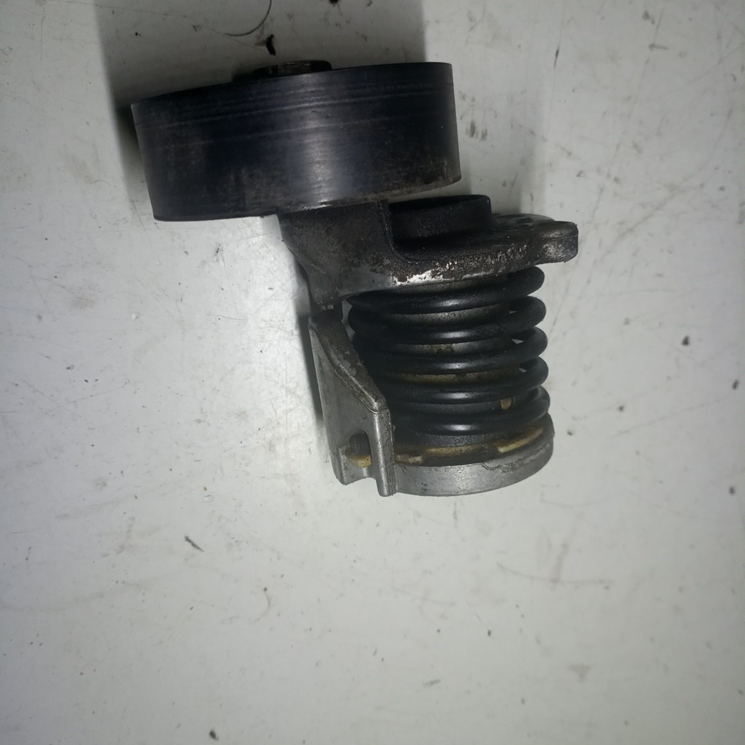 Rolo tensor, correia trapezoidal SEAT LEON (1P1) | 05 - 13 Imagem-1