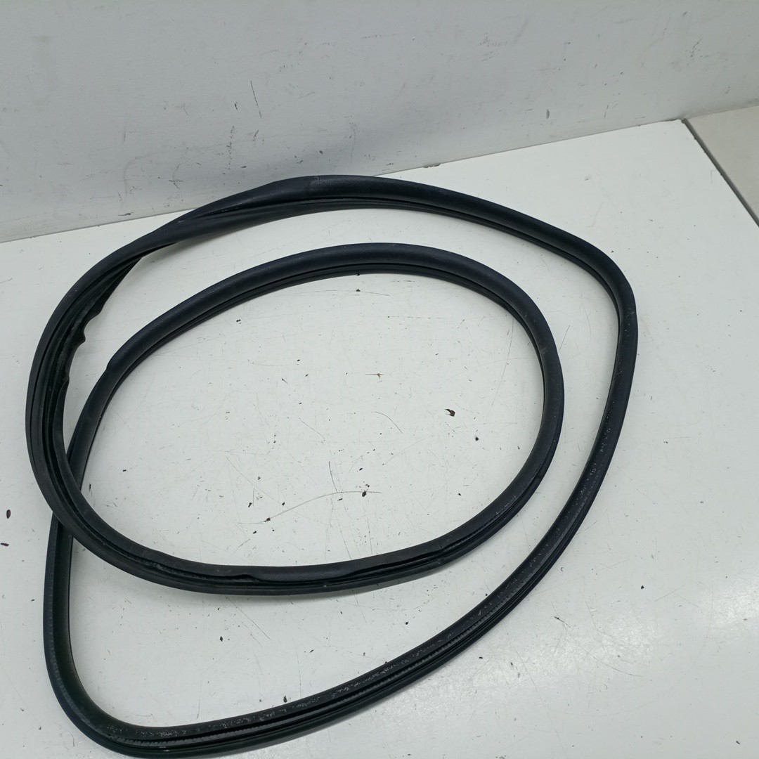 Borracha Da Porta Traseira Direita RENAULT MEGANE II (BM0/1_, CM0/1_) | 01 - 12 Imagem-4