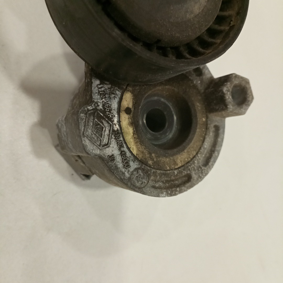 Rolo tensor, correia trapezoidal RENAULT CLIO III (BR0/1, CR0/1) | 05 -  Imagem-1
