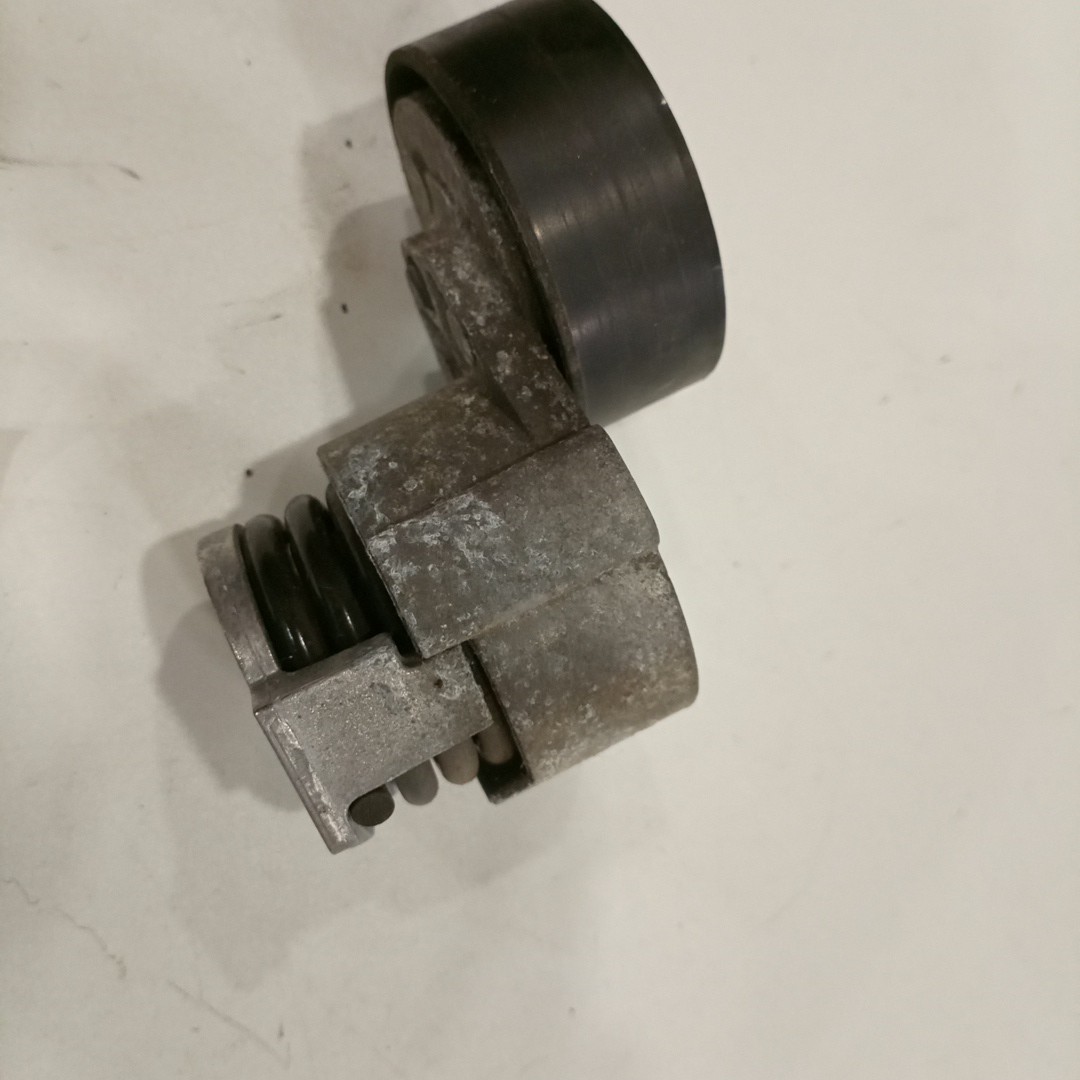 Rolo tensor, correia trapezoidal RENAULT CLIO III (BR0/1, CR0/1) | 05 -  Imagem-2