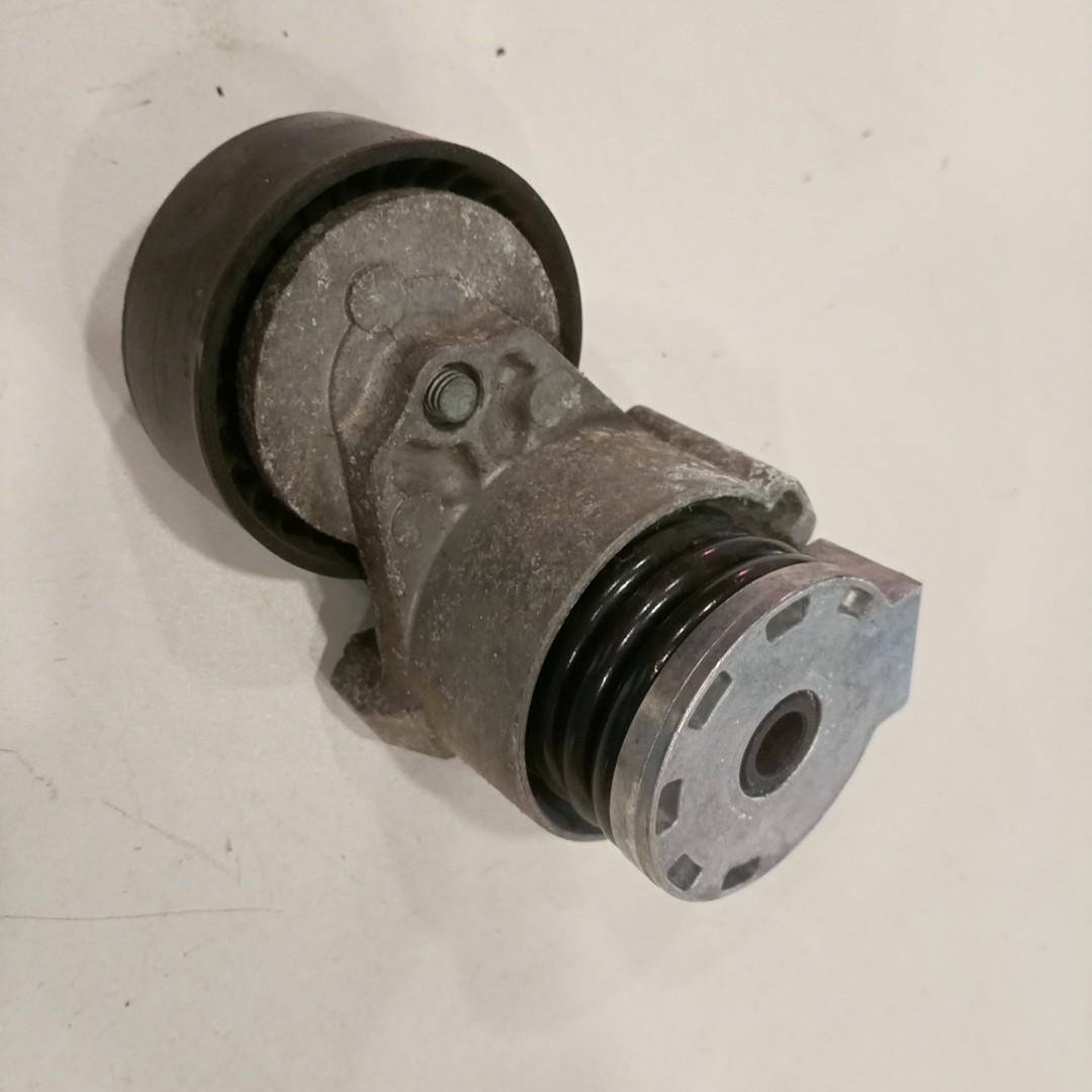 Rolo tensor, correia trapezoidal RENAULT CLIO III (BR0/1, CR0/1) | 05 -  Imagem-3