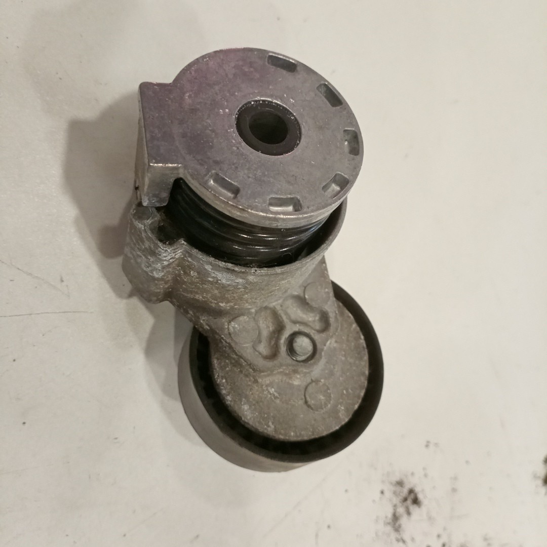 Rolo tensor, correia trapezoidal RENAULT CLIO III (BR0/1, CR0/1) | 05 -  Imagem-4