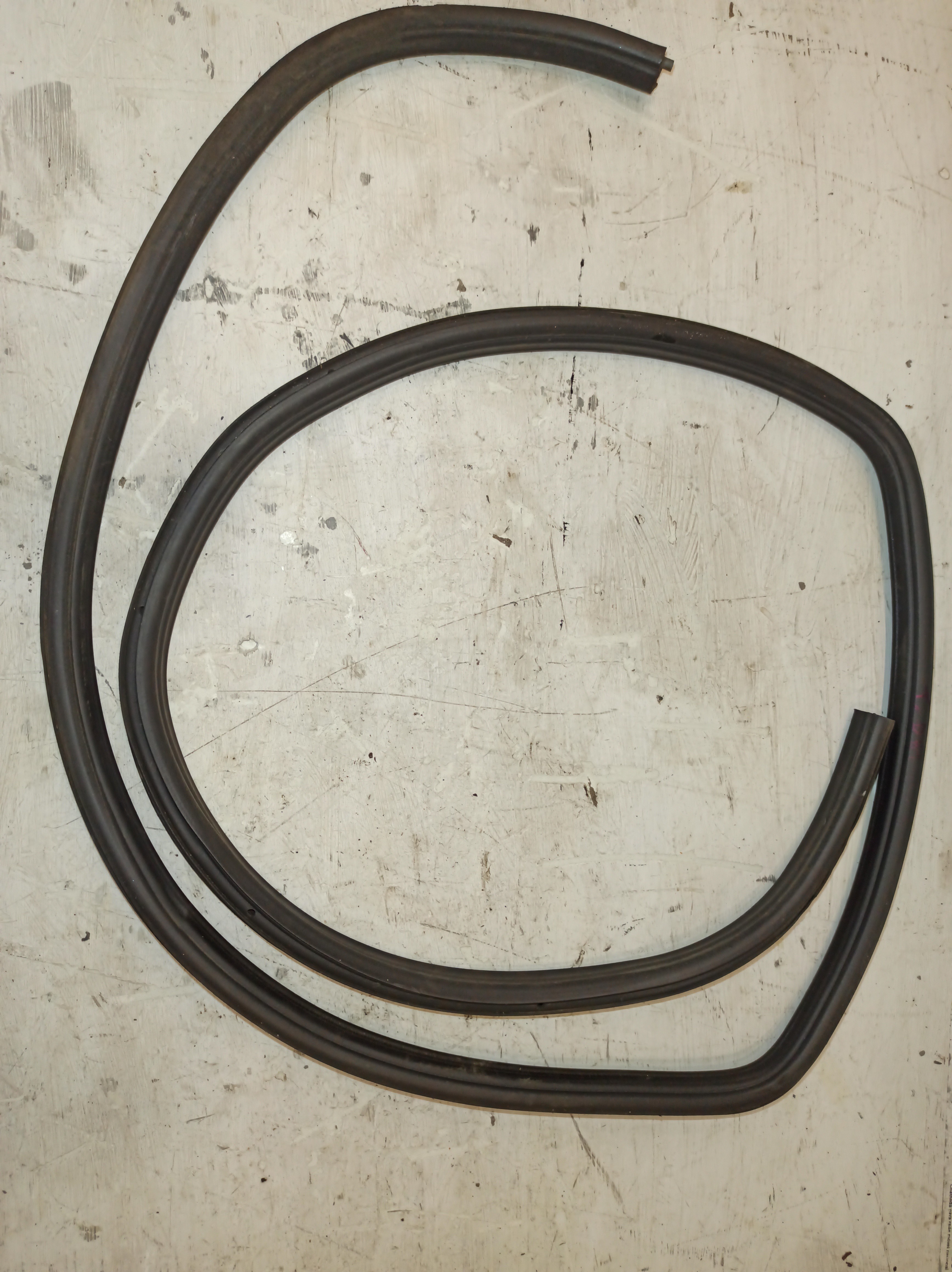 Borracha Da Porta Traseira Direita SEAT IBIZA III (6K1) | 99 - 02