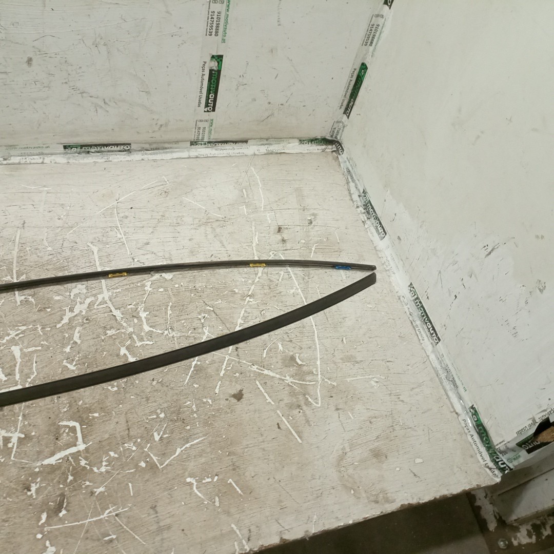 Friso do Tejadilho HYUNDAI IONIQ (AE) | 16 -  Imagem-3