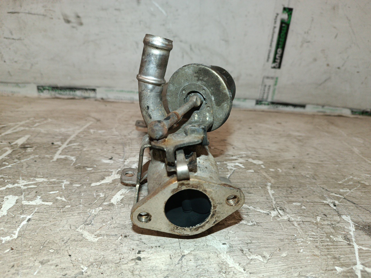 Válvula EGR VOLKSWAGEN GOLF VI (5K1) | 08 - 14 Imagem-5