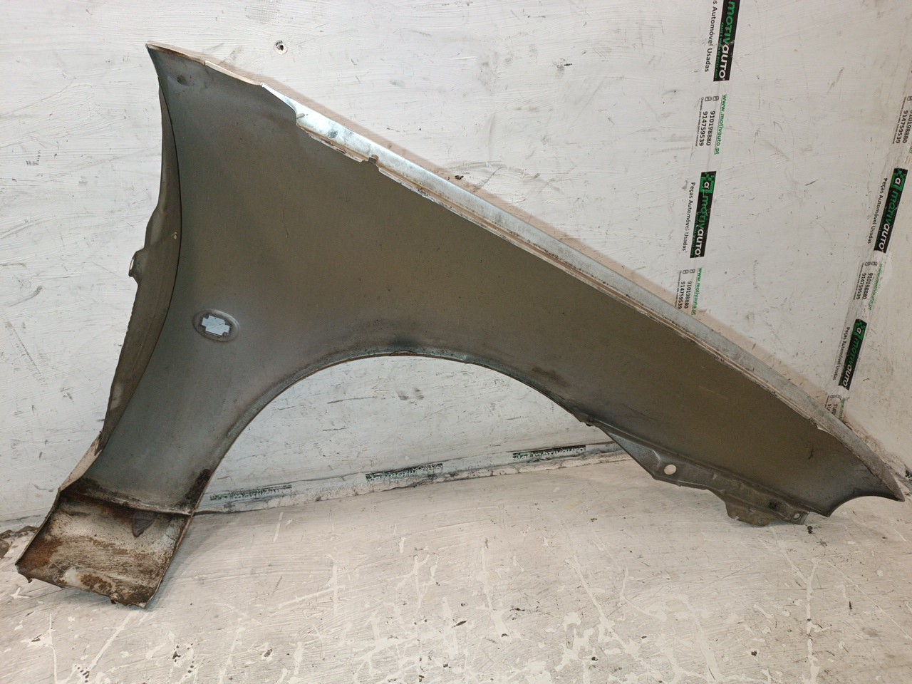 Guarda Lamas Esquerdo FORD FIESTA IV (JA_, JB_) | 95 - 02