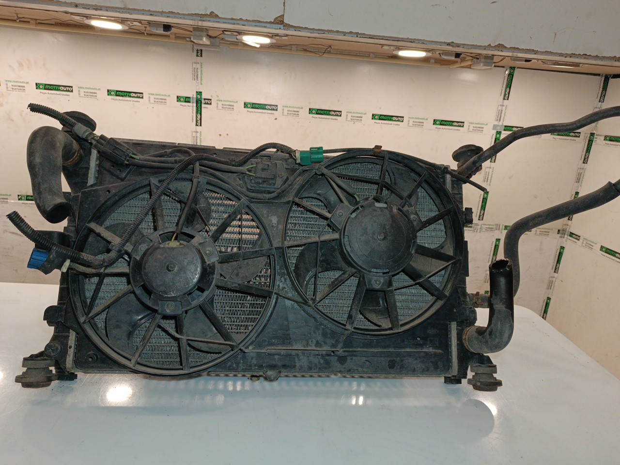 Radiador da Água FORD FOCUS (DAW, DBW) | 98 - 09