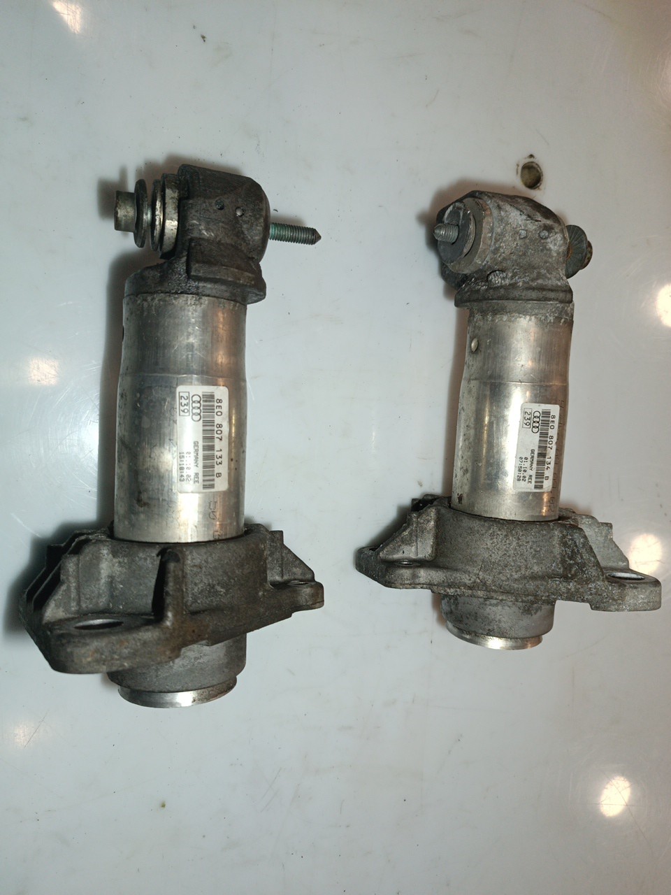 Amortecedores de para-choques AUDI A4 Avant (8E5, B6) | 00 - 05