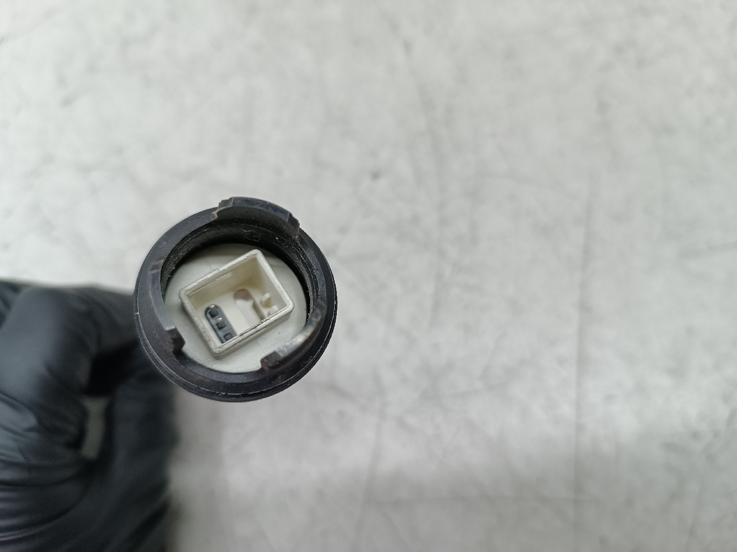 Instalação Elétrica BMW 3 Touring (E91) | 04 - 12 Imagem-1