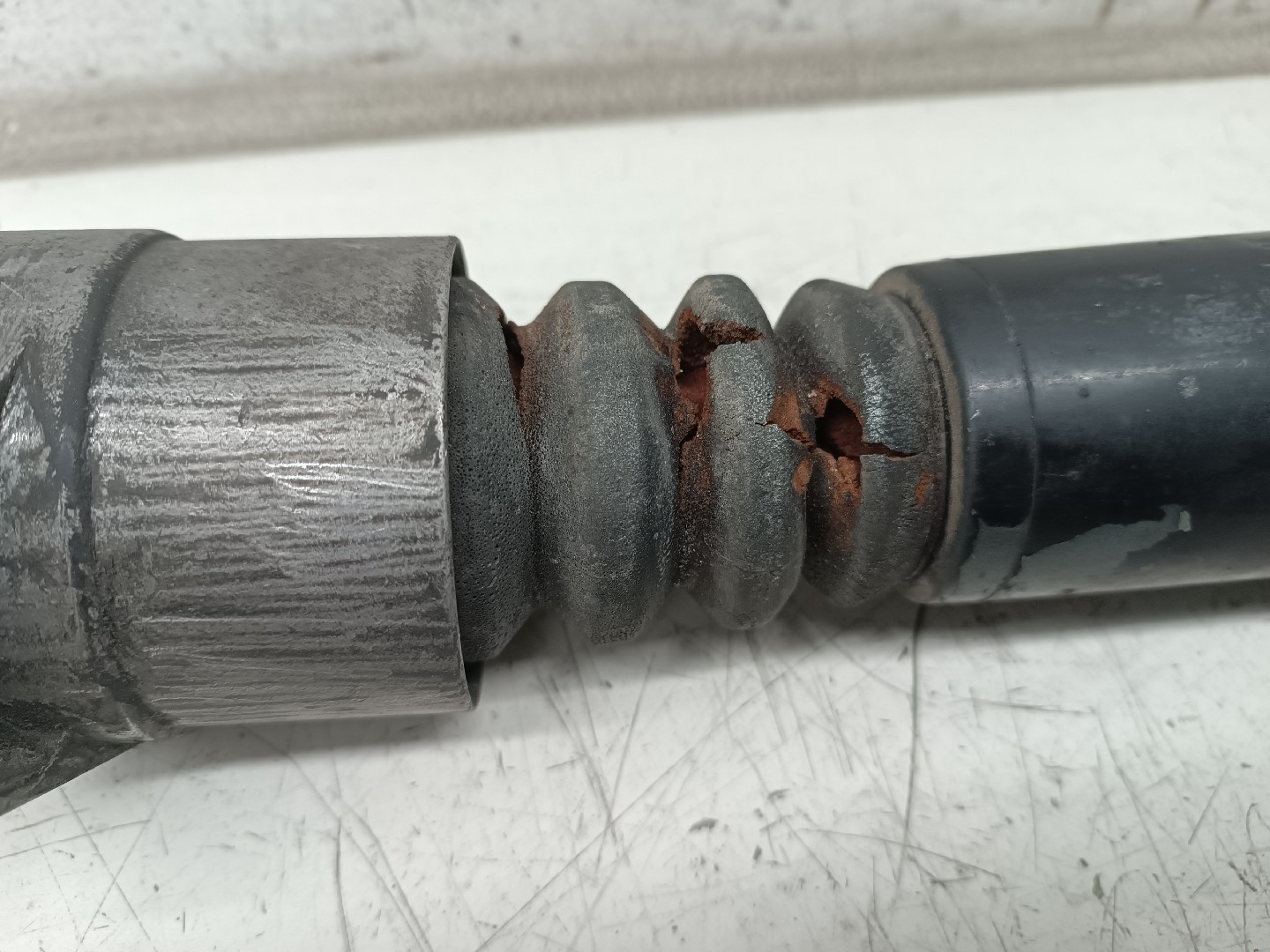 Amortecedores traseiros VOLKSWAGEN PASSAT Variant (3B6) | 00 - 05 Imagem-2