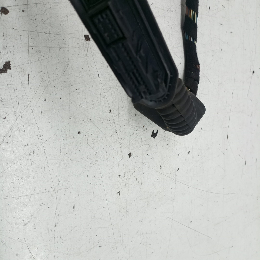 Instalação eléctrica porta frente esquerda BMW 3 Compact (E46) | 01 - 05 Imagem-1