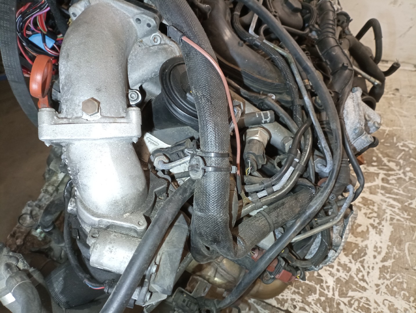 Motor AUDI A4 (8EC, B7) | 04 - 08 Imagem-12