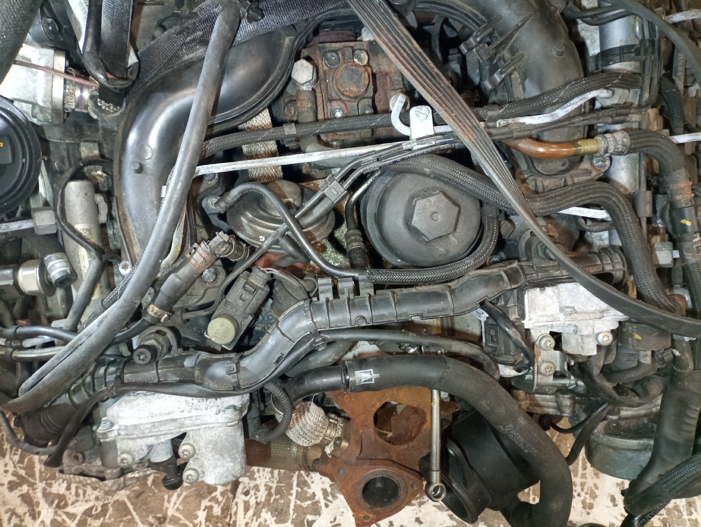 Motor AUDI A4 (8EC, B7) | 04 - 08 Imagem-11