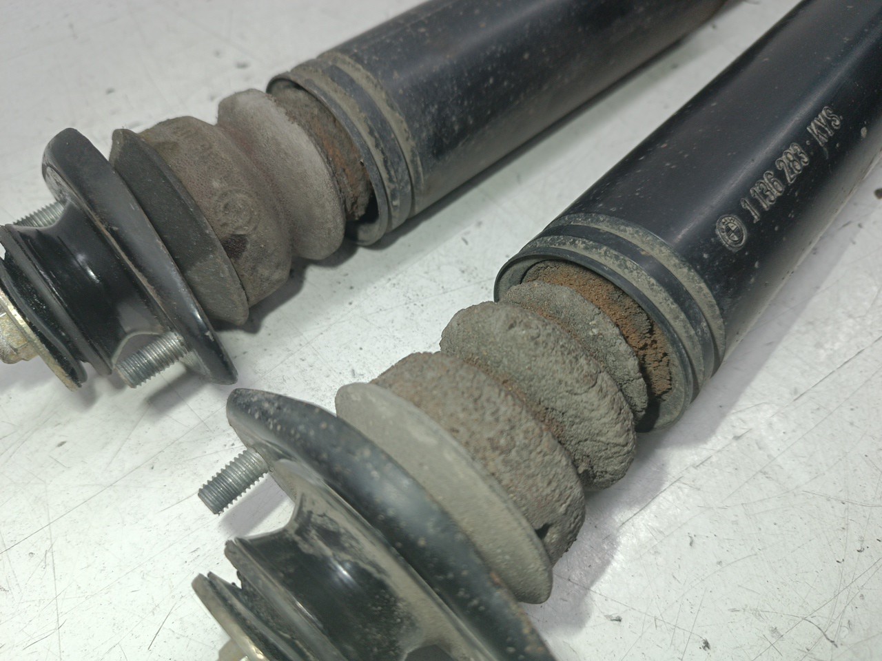 Amortecedores traseiros BMW 3 Compact (E46) | 01 - 05 Imagem-3