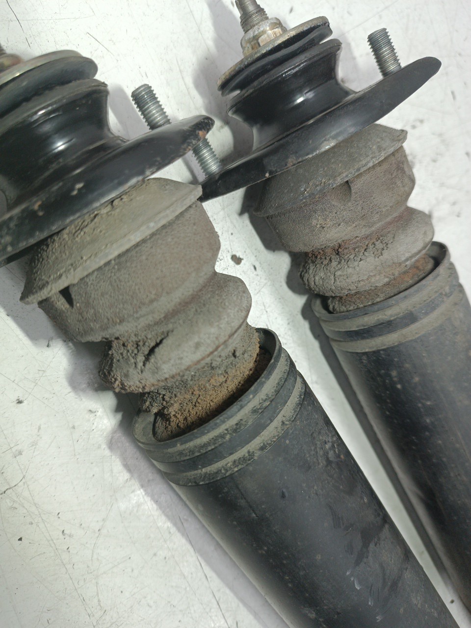 Amortecedores traseiros BMW 3 Compact (E46) | 01 - 05 Imagem-5