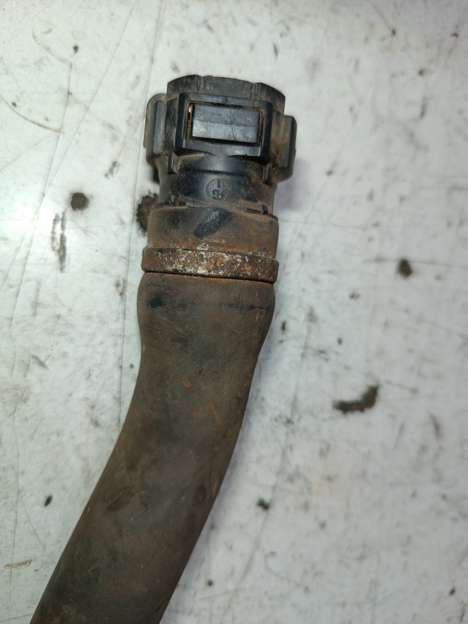 Tubo de Água RENAULT CLIO II Caixa (SB0/1/2_) | 98 -  Imagem-2