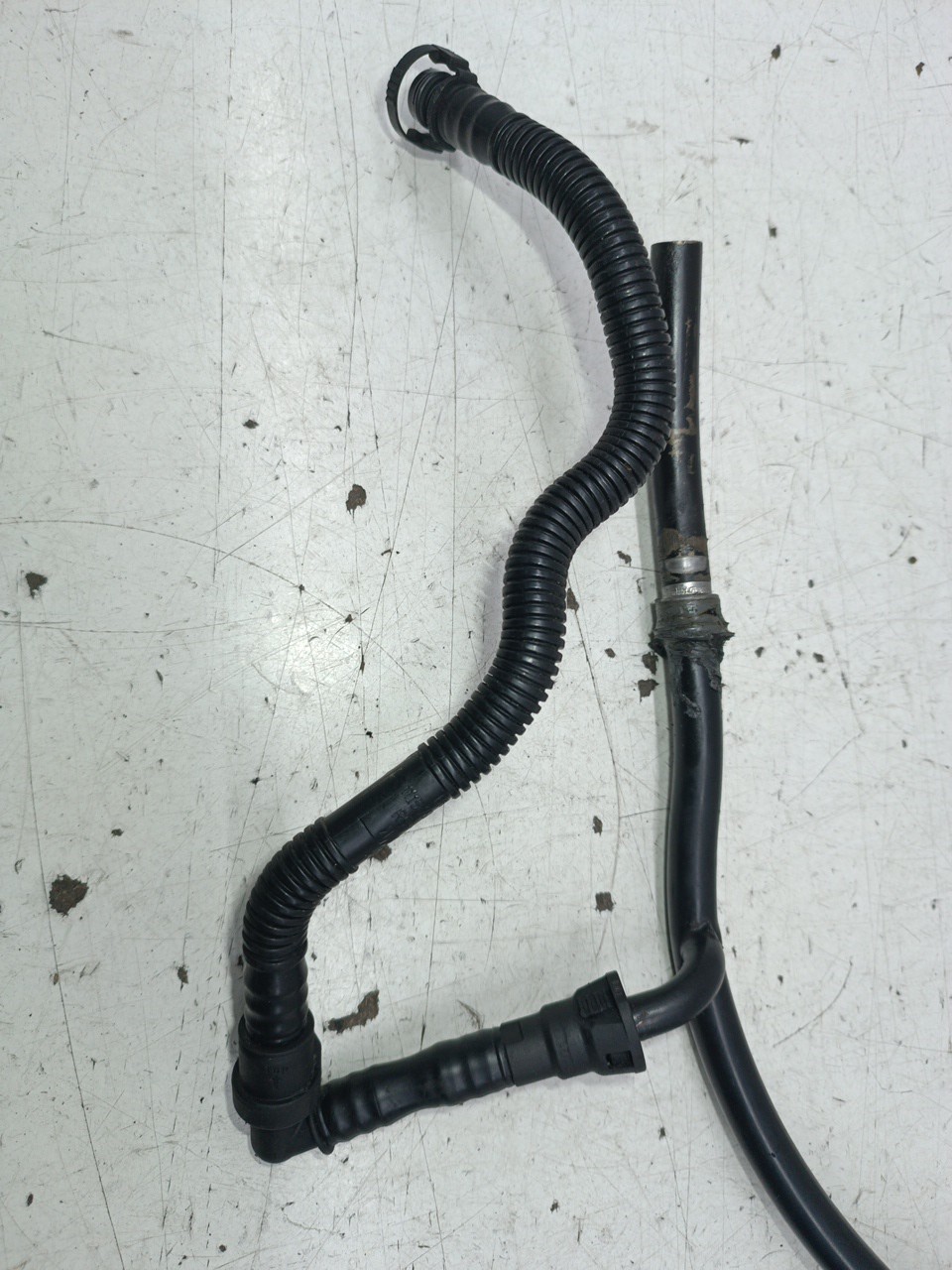 Vareta De Óleo BMW 3 Compact (E46) | 01 - 05 Imagem-5