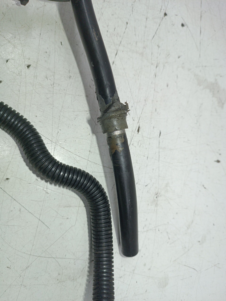 Vareta De Óleo BMW 3 Compact (E46) | 01 - 05 Imagem-7