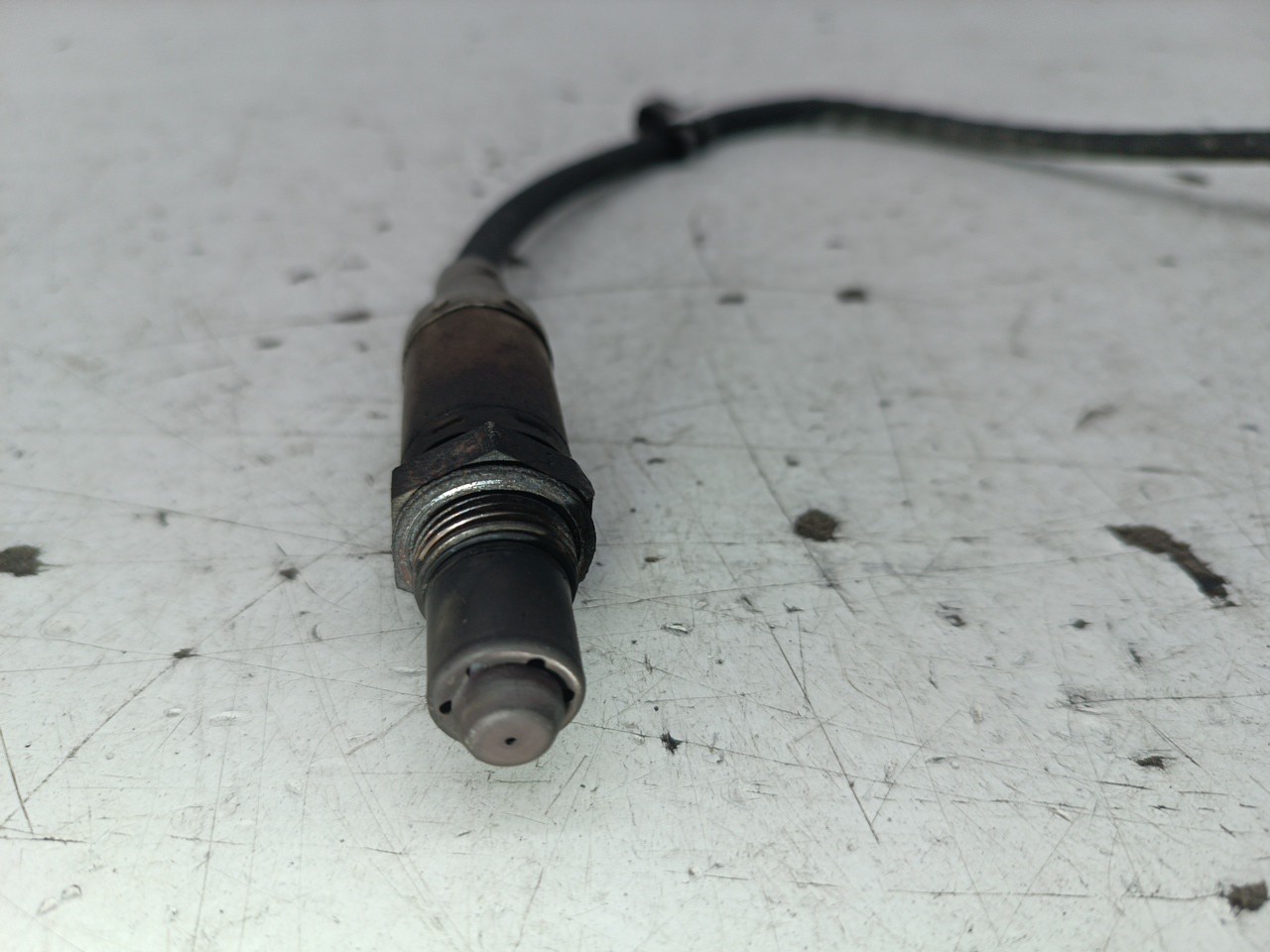 Sonda Lambda BMW 3 Compact (E46) | 01 - 05 Imagem-2