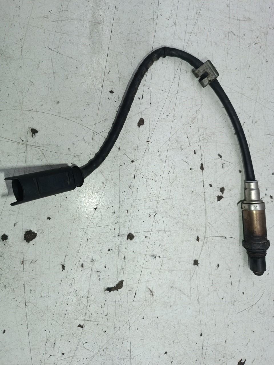 Sonda Lambda BMW 3 Compact (E46) | 01 - 05 Imagem-4