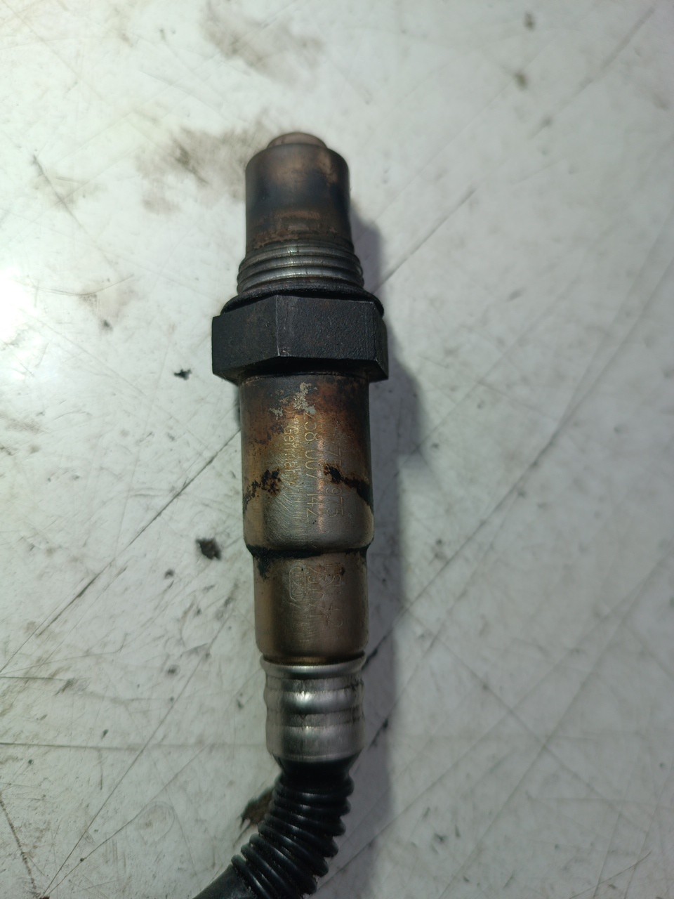 Sonda Lambda BMW 3 Compact (E46) | 01 - 05 Imagem-1