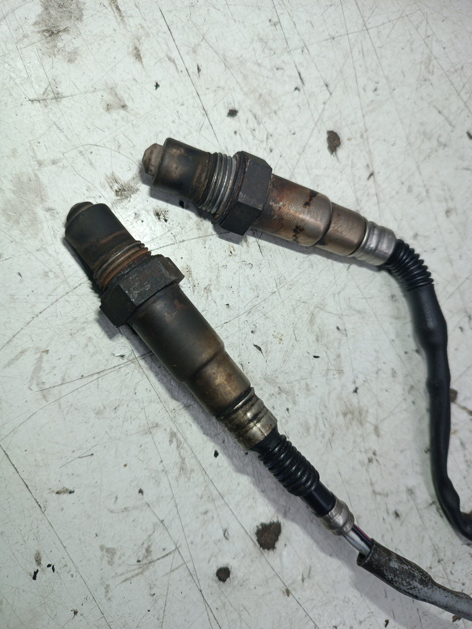 Sonda Lambda BMW 3 Compact (E46) | 01 - 05 Imagem-2