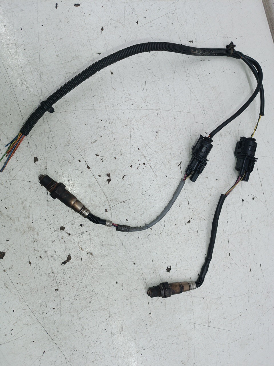Sonda Lambda BMW 3 Compact (E46) | 01 - 05 Imagem-4