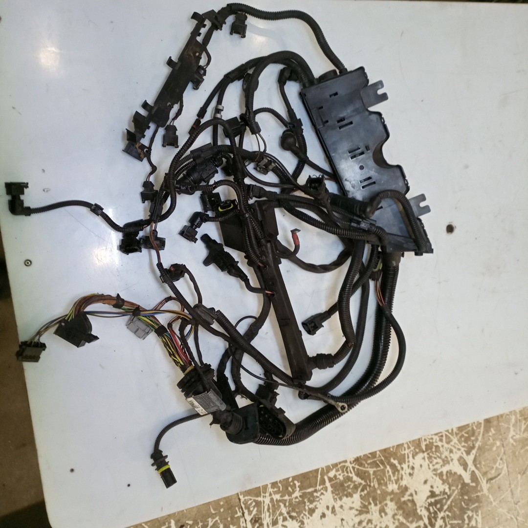 Instalação Elétrica do Motor BMW 3 Compact (E46) | 01 - 05