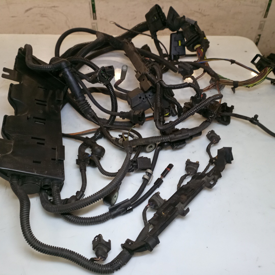 Instalação Elétrica do Motor BMW 3 Compact (E46) | 01 - 05 Imagem-1