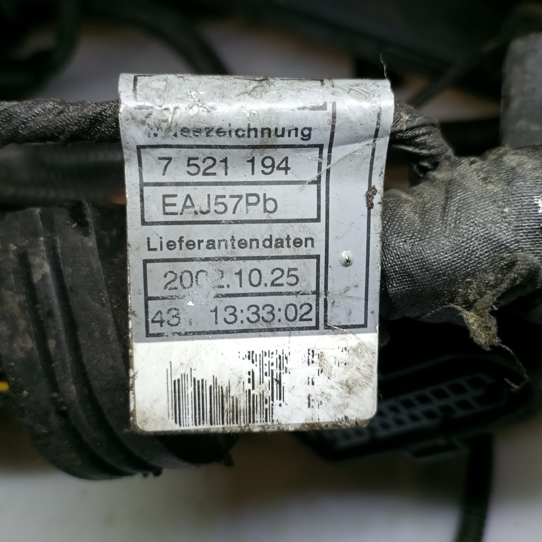 Instalação Elétrica do Motor BMW 3 Compact (E46) | 01 - 05 Imagem-2