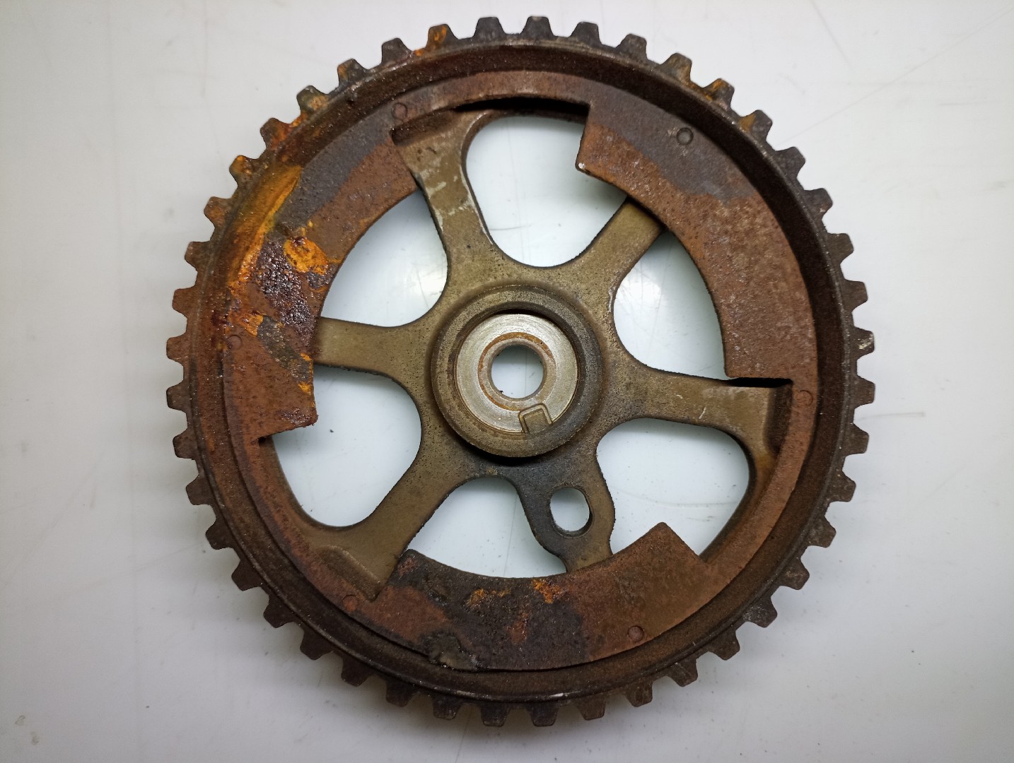 Polia de árvore de cames PEUGEOT 307 SW (3H) | 02 - 09