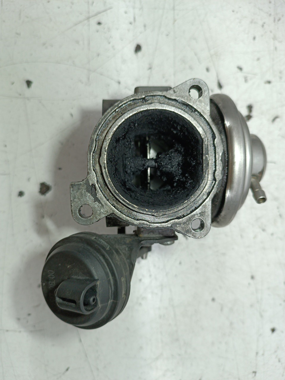 Válvula EGR AUDI A3 (8L1) | 96 - 06 Imagem-1