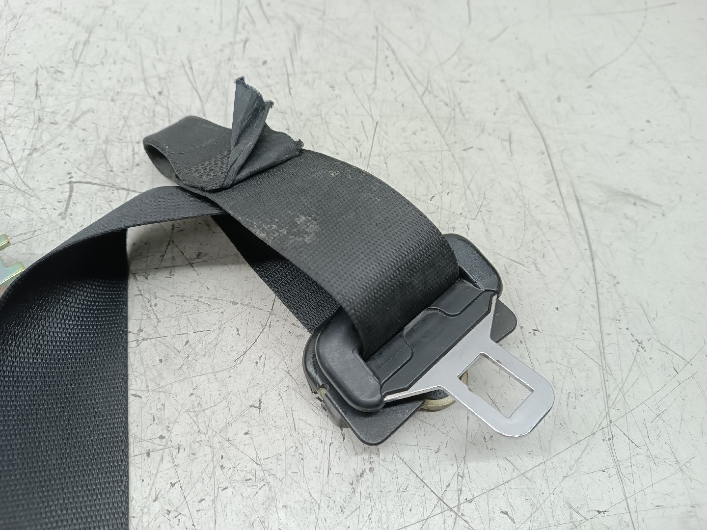 Cinto Frente Direito BMW 3 Compact (E46) | 01 - 05 Imagem-4