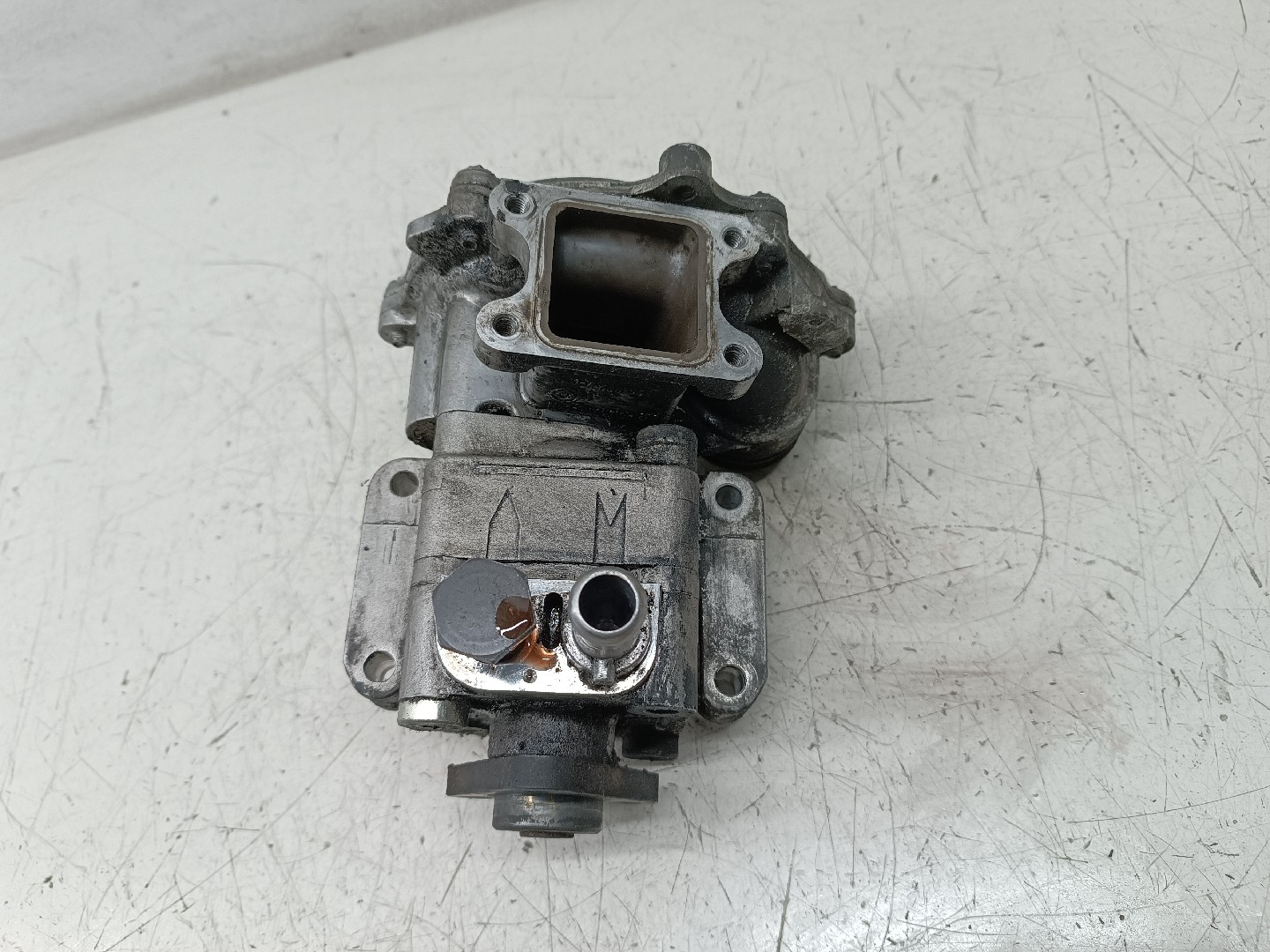 Bomba de Água BMW 3 Compact (E46) | 01 - 05 Imagem-7