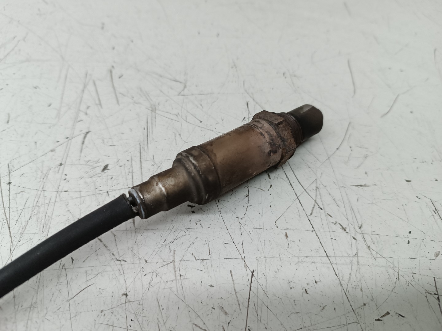 Sonda Lambda BMW 3 Compact (E46) | 01 - 05 Imagem-1