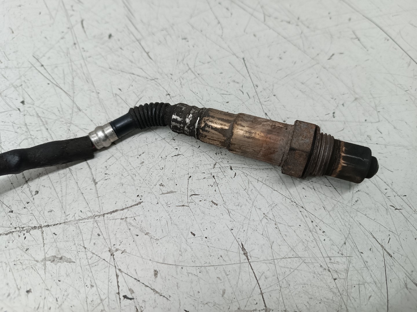Sonda Lambda BMW 3 Compact (E46) | 01 - 05 Imagem-1