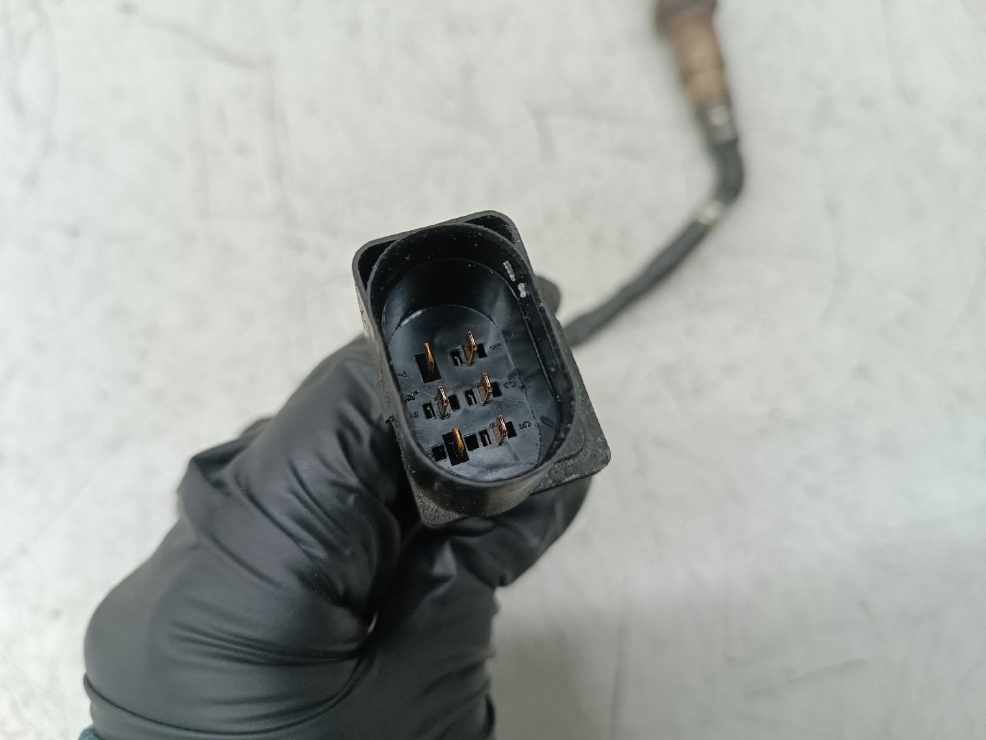 Sonda Lambda BMW 3 Compact (E46) | 01 - 05 Imagem-2