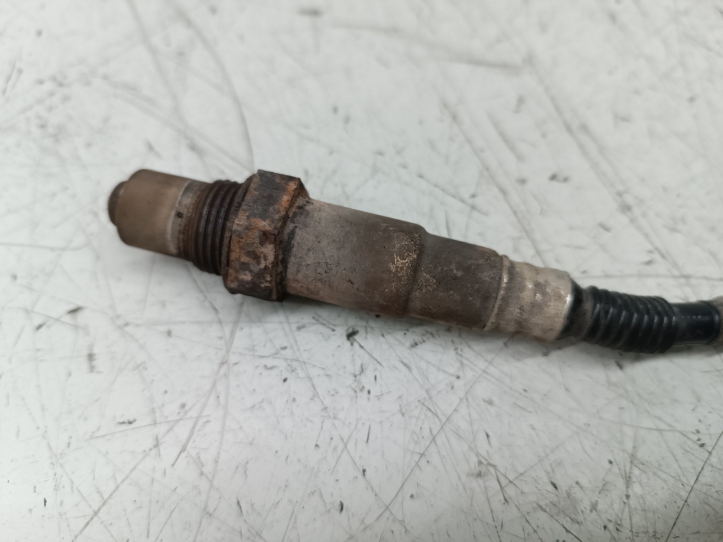 Sonda Lambda BMW 3 Compact (E46) | 01 - 05 Imagem-1