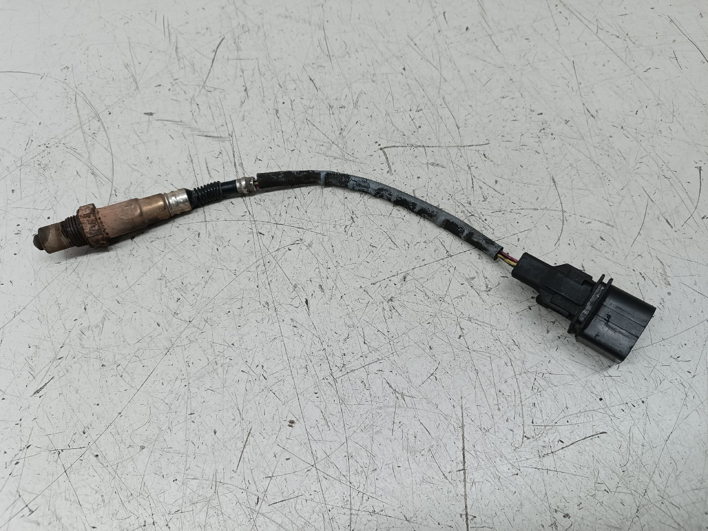 Sonda Lambda BMW 3 Compact (E46) | 01 - 05 Imagem-5