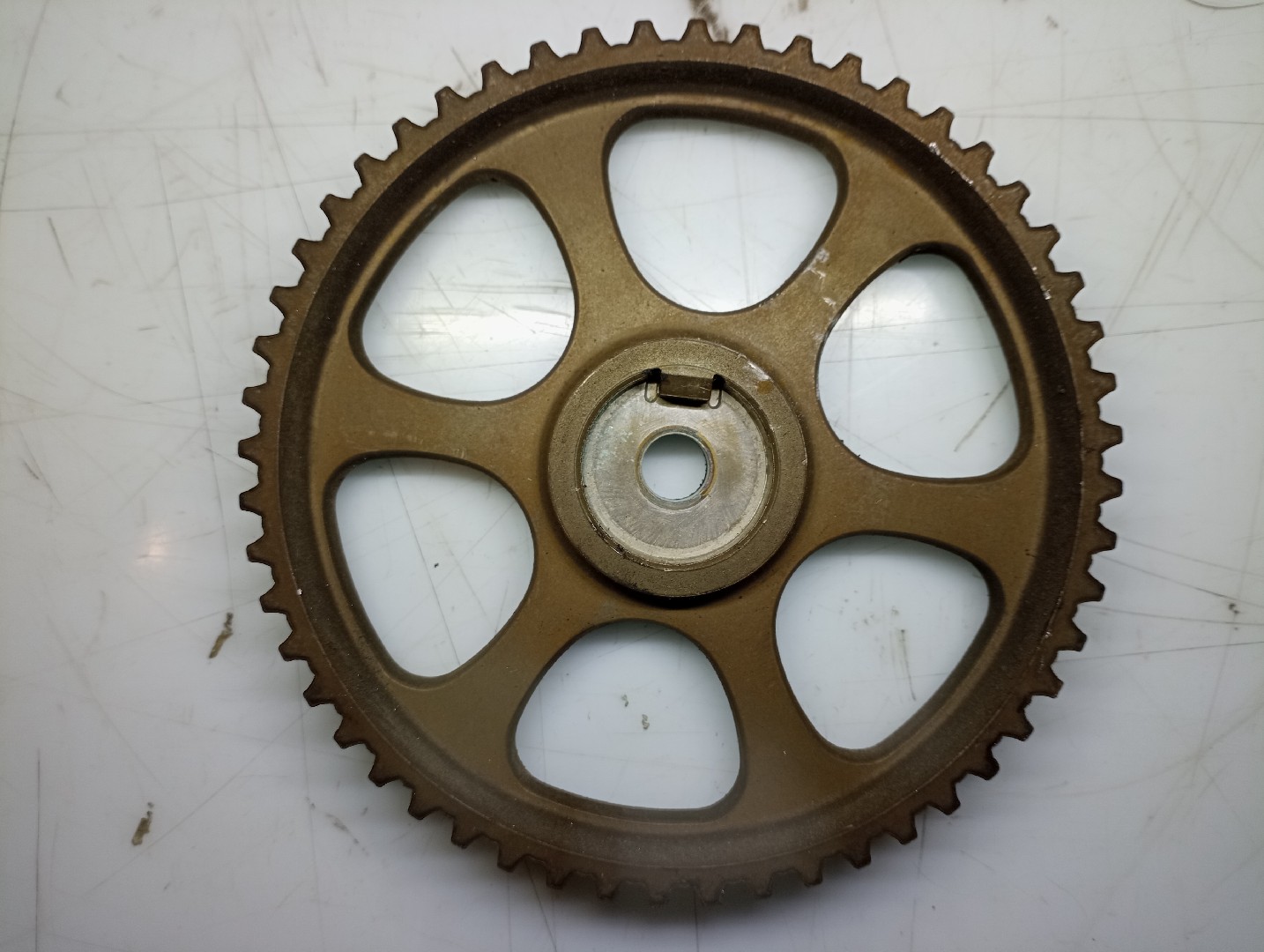 Polia de árvore de cames VOLKSWAGEN POLO (6N2) | 99 - 01
