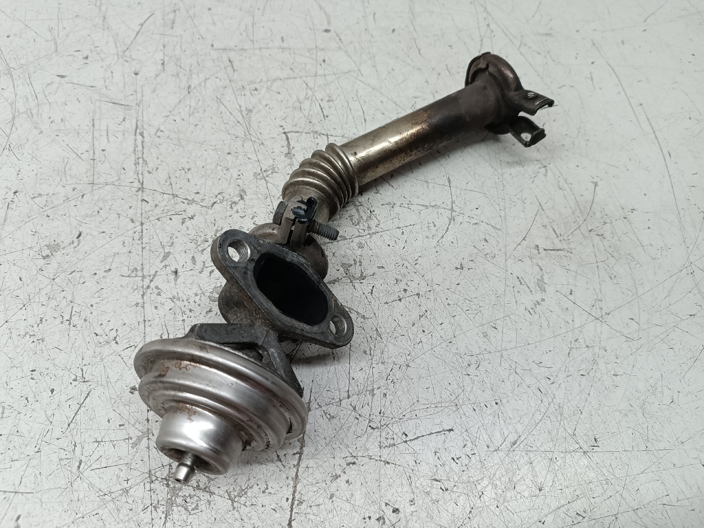 Válvula EGR MERCEDES-BENZ C-CLASS (W202) | 93 - 00 Imagem-5