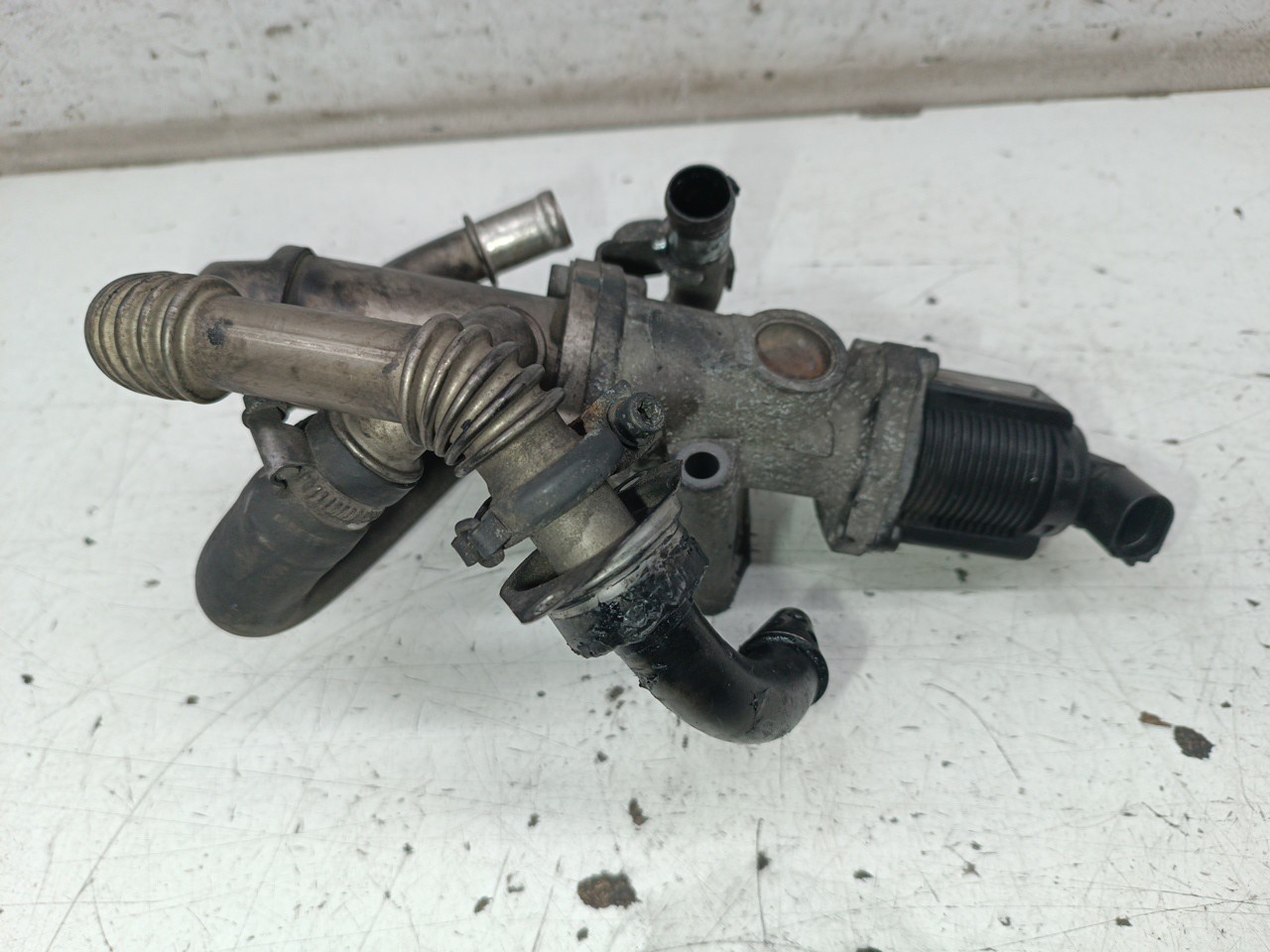 Válvula EGR Com Radiador FIAT GRANDE PUNTO (199_) | 05 - 