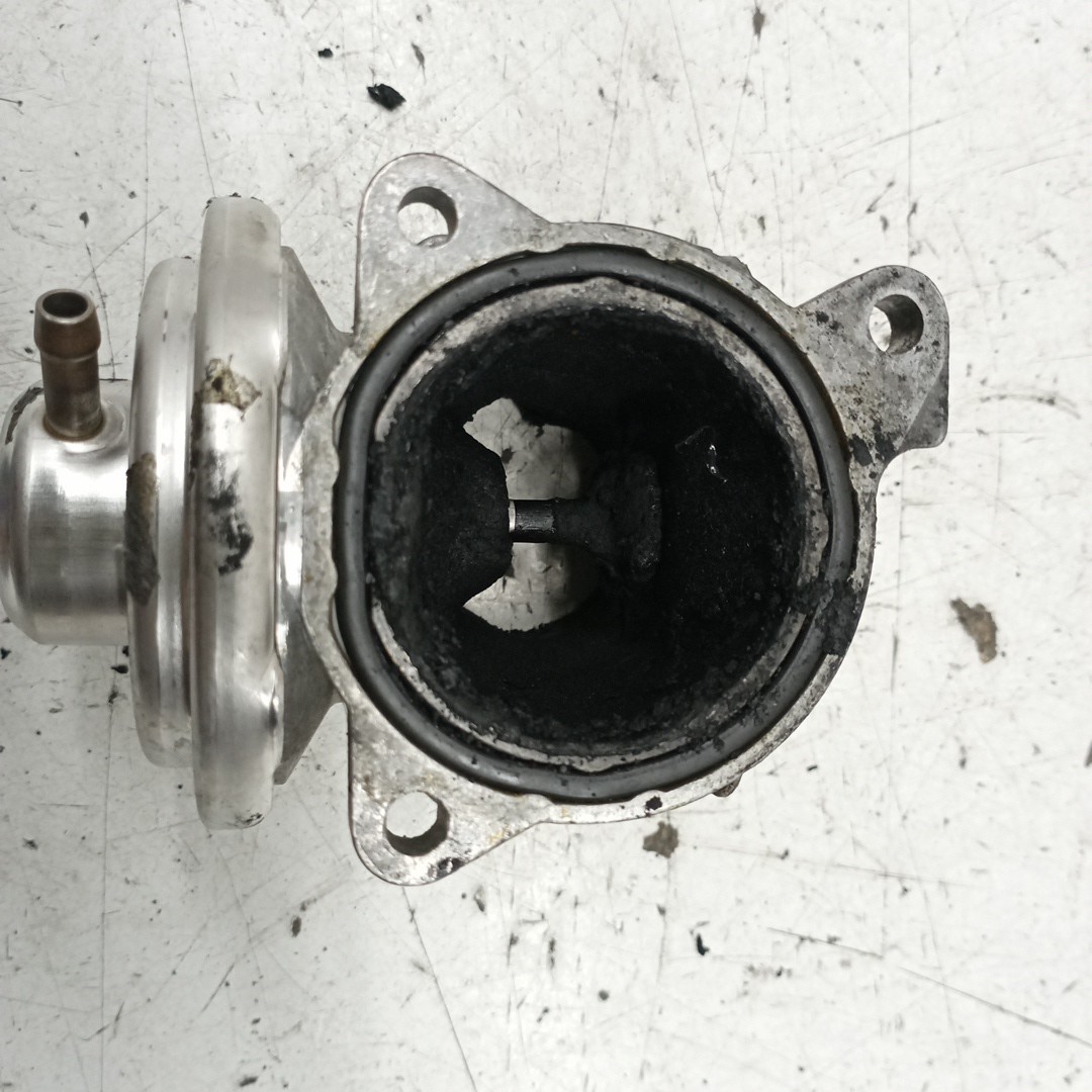 Válvula EGR SKODA FABIA II (542) | 06 - 14 Imagem-1