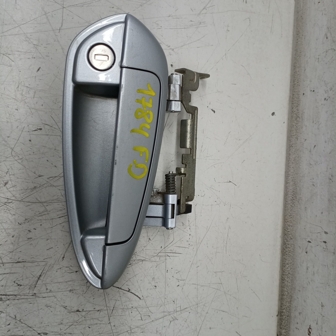 Puxador Exterior Porta Frente Direito FIAT PUNTO (199_) | 12 - 