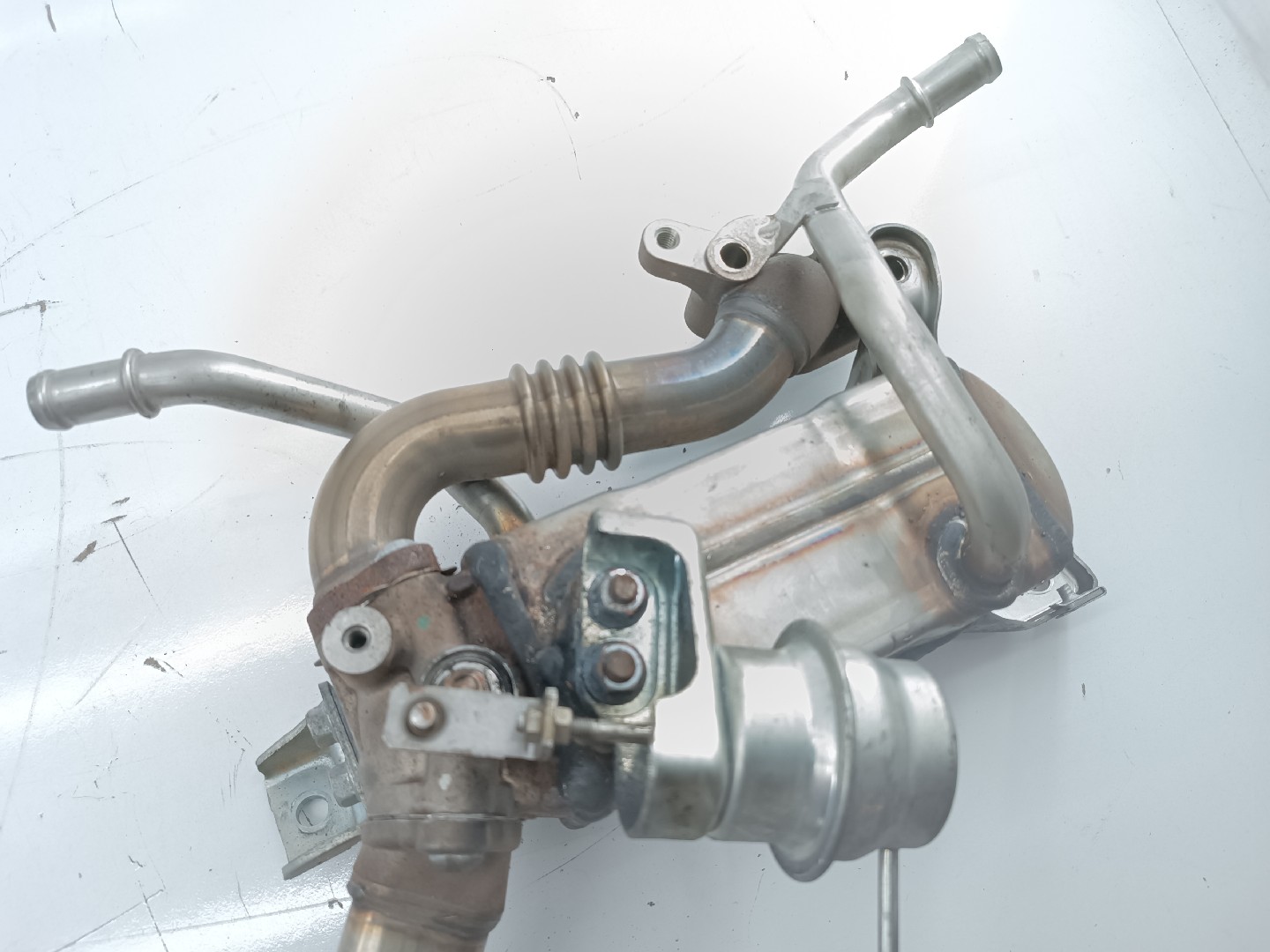 EGR Radiador  OPEL ASTRA J (P10) | 09 - 15 Imagem-3