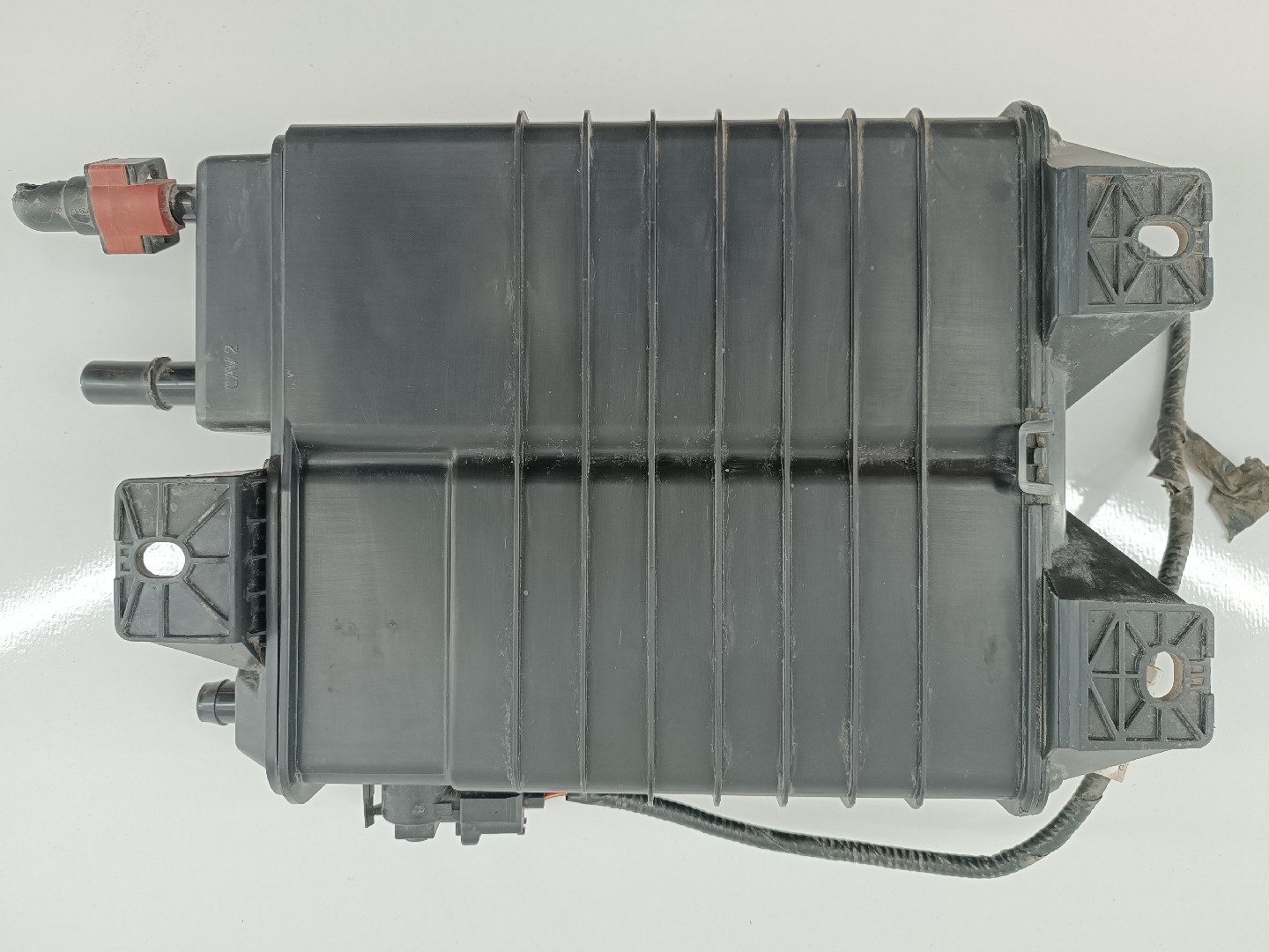 Filtro Carbono FORD USA MUSTANG Coupé | 04 - 